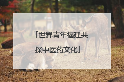 世界青年福建共探中医药文化
