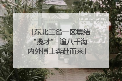 东北三省一区集结“揽才” 逾八千海内外博士奔赴而来