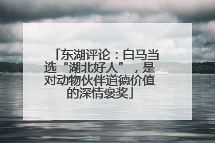 东湖评论：白马当选“湖北好人”，是对动物伙伴道德价值的深情褒奖