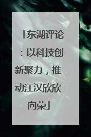东湖评论：以科技创新聚力，推动江汉欣欣向荣