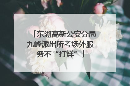 东湖高新公安分局九峰派出所考场外服务不“打烊”