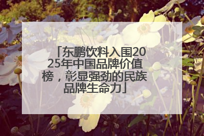 东鹏饮料入围2025年中国品牌价值榜，彰显强劲的民族品牌生命力