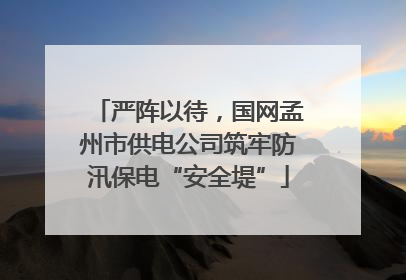 严阵以待，国网孟州市供电公司筑牢防汛保电“安全堤”