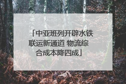 中亚班列开辟水铁联运新通道 物流综合成本降四成