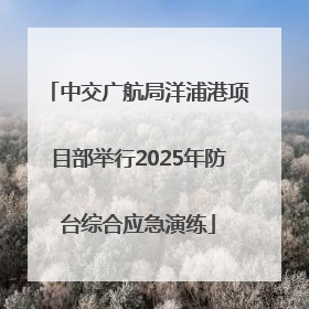 中交广航局洋浦港项目部举行2025年防台综合应急演练