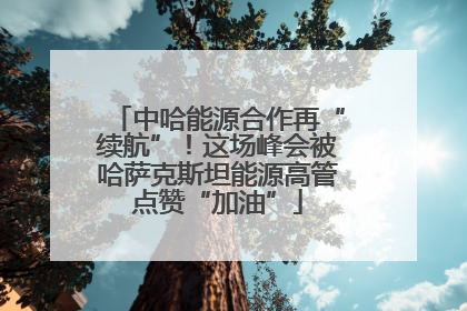 中哈能源合作再“续航”！这场峰会被哈萨克斯坦能源高管点赞“加油”
