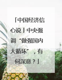 中国经济信心说丨中央强调“做强国内大循环”，有何深意？