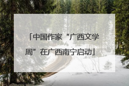 中国作家“广西文学周”在广西南宁启动