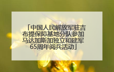 中国人民解放军驻吉布提保障基地分队参加马达加斯加独立和建军65周年阅兵活动