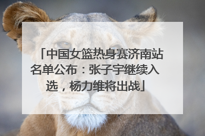 中国女篮热身赛济南站名单公布：张子宇继续入选，杨力维将出战