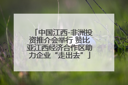 中国江西-非洲投资推介会举行 赞比亚江西经济合作区助力企业“走出去”