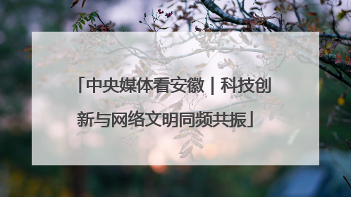 中央媒体看安徽｜科技创新与网络文明同频共振