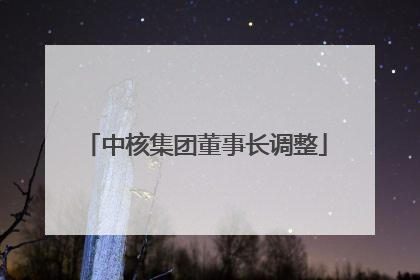 中核集团董事长调整