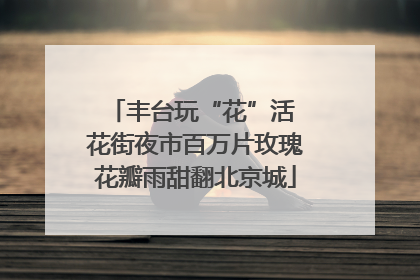 丰台玩“花”活 花街夜市百万片玫瑰花瓣雨甜翻北京城
