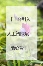 丰台引入人工智能赋能心育