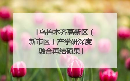 乌鲁木齐高新区（新市区）产学研深度融合再结硕果