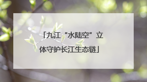 九江“水陆空”立体守护长江生态链