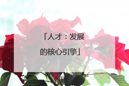 人才：发展的核心引擎