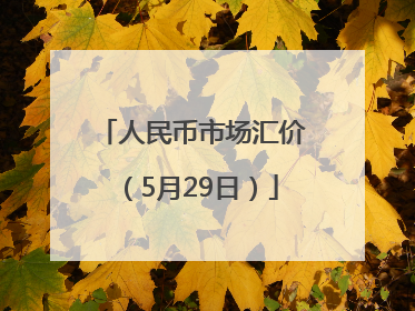 人民币市场汇价（5月29日）