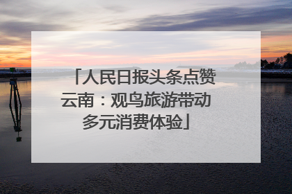 人民日报头条点赞云南：观鸟旅游带动多元消费体验