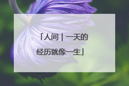人间｜一天的经历就像一生