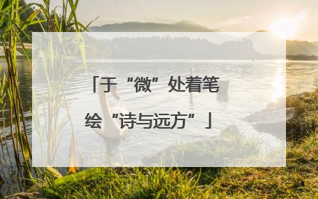 于“微”处着笔 绘“诗与远方”