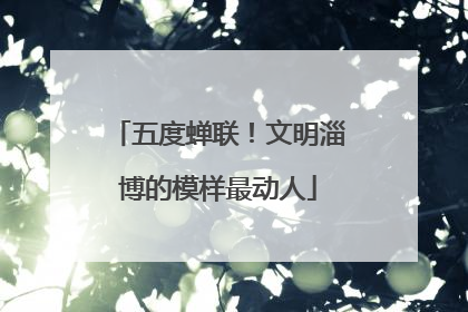 五度蝉联！文明淄博的模样最动人
