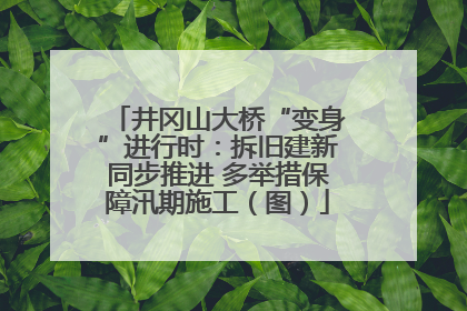 井冈山大桥“变身”进行时：拆旧建新同步推进 多举措保障汛期施工（图）