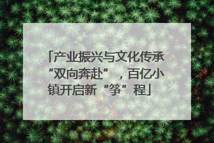产业振兴与文化传承“双向奔赴”，百亿小镇开启新“筝”程