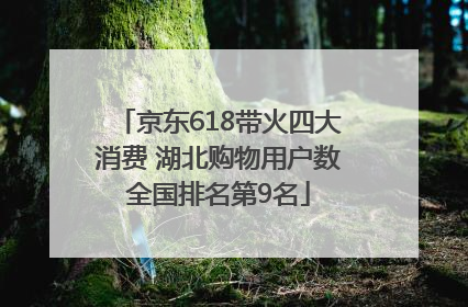 京东618带火四大消费 湖北购物用户数全国排名第9名