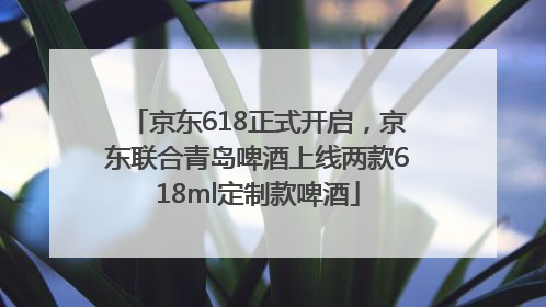 京东618正式开启，京东联合青岛啤酒上线两款618ml定制款啤酒