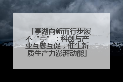 亭湖向新而行步履不“亭”：科创与产业互融互促，催生新质生产力澎湃动能