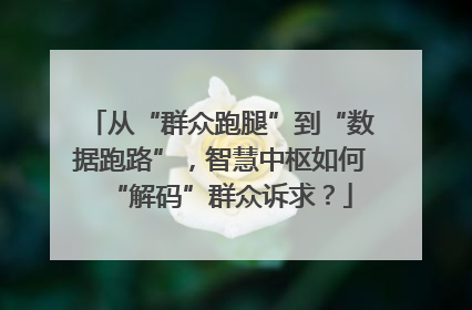 从“群众跑腿”到“数据跑路”，智慧中枢如何“解码”群众诉求？