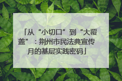 从“小切口”到“大覆盖”：荆州市民法典宣传月的基层实践密码