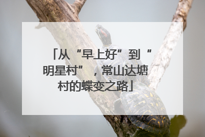 从“早上好”到“明星村”，常山达塘村的蝶变之路
