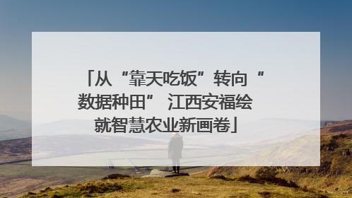 从“靠天吃饭”转向“数据种田” 江西安福绘就智慧农业新画卷