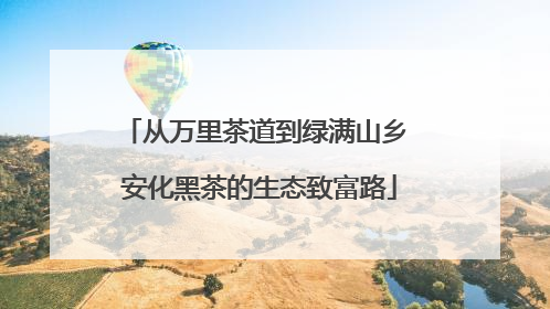 从万里茶道到绿满山乡 安化黑茶的生态致富路