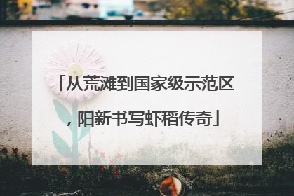 从荒滩到国家级示范区，阳新书写虾稻传奇