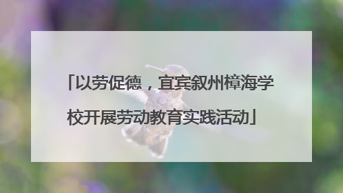 以劳促德，宜宾叙州樟海学校开展劳动教育实践活动