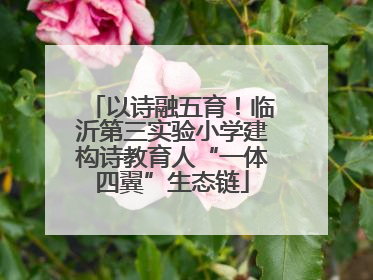以诗融五育！临沂第三实验小学建构诗教育人“一体四翼”生态链