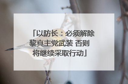 以防长：必须解除黎真主党武装 否则将继续采取行动