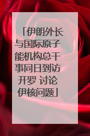 伊朗外长与国际原子能机构总干事同日到访开罗 讨论伊核问题