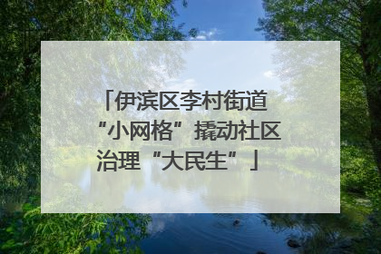 伊滨区李村街道 “小网格”撬动社区治理“大民生”