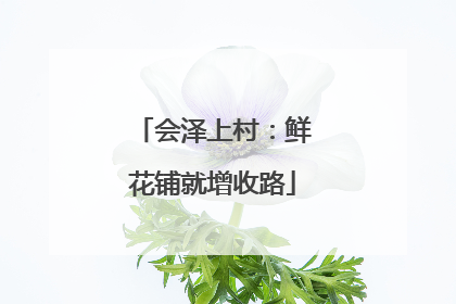 会泽上村：鲜花铺就增收路