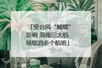 受台风“蝴蝶”影响 海南三大机场取消多个航班