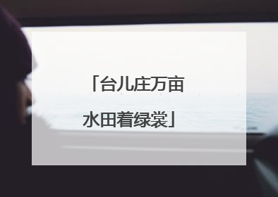台儿庄万亩水田着绿裳