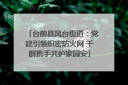 台前县凤台街道：党建引领织密防火网 干群携手共护家园安