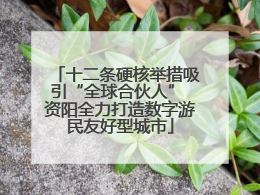 十二条硬核举措吸引“全球合伙人” 资阳全力打造数字游民友好型城市