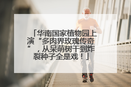 华南国家植物园上演“多肉界玫瑰传奇”，从呆萌树干到炸裂种子全是戏！