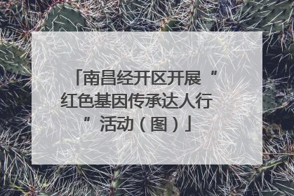 南昌经开区开展“红色基因传承达人行”活动（图）
